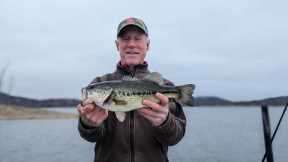 Table Rock Lake Video Fishing Report March 5, 2024 short