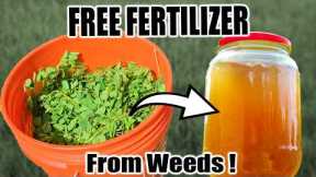 Free Fertilizer From Weeds!