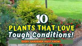 TOP 10 Plants that LOVE Tough Conditions! 🌿😱🌻 // Gardening Ideas