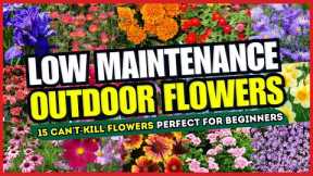 😱 Top 15 Can't-Kill Flowers Perfect for BEGINNERS 💪 LOW MAINTENANCE Flowers Outdoor! ✨💚