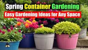 Spring Container Gardening: Easy Gardening Ideas for Any Space
