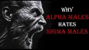 8 REASONS WHY ALPHA MALES HATES SIGMA MALES
