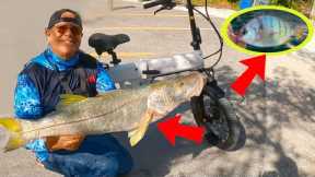 Simple Way To Catch Pinfish And Snook (Beach Fishing With KBO K1 Ebike)