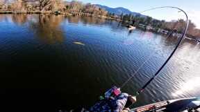 Mini Jig Fishing For Monster Trout - Lake Hemet - TIPS AND TRICKS