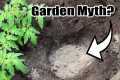 Top 10 Garden MYTHS... BUSTED!