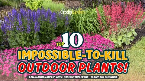TOP 10 IMPOSSIBLE-TO-KILL OUTDOOR PLANTS! 🌻💥🌿 // Gardening Ideas