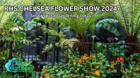 RHS Chelsea Flower Show 2024. Small Space Gardening Ideas