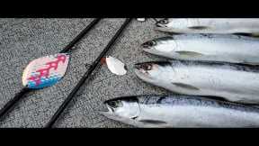 Spring Kokanee Fishing | Lures, Locations, Techniques, and Landing Them!