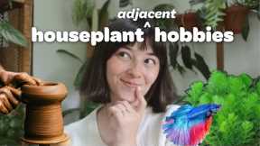 Houseplant Adjacent Hobbies You Should Try!