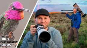 Set Ups For ANY Location + Hummingbirds: Everyday Bird Photography Hacks!