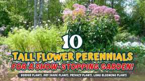 TOP 10 TALL FLOWER PERENNIALS FOR A SHOW-STOPPING GARDEN! 🌻🌹🌼 // Gardening Ideas