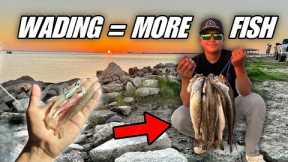 Wade Fishing for UNLIMITED Speckled Trout!! Non Stop Action
