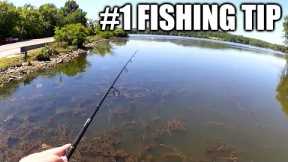 The Best Fishing Tip for Beginners!