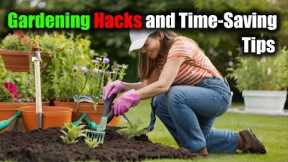 Gardening Hacks and Time-Saving Tips: Gardening Made Easy