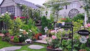 Tiny Backyard Garden Tour Plants and Flowers  #garden #gardening #gardentour #plants #flowers #new