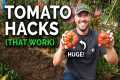 9 Tomato Growing Tips (That Actually