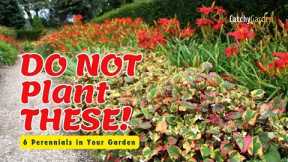 🚫 DO NOT Plant THESE 6 Perennials in Your Garden! 🌸 // Gardening Tips