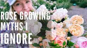 Rose growing MYTHS you don't need to follow!