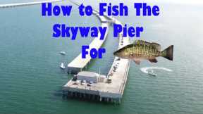 How to FISH The Skyway Fishing Pier!! Beginner's Guide