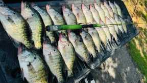 SUMMER CRAPPIE FISHING TIPS TO HELP YOU CATCH MORE CRAPPIE ALL SUMMER LONG‼️