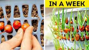 Gardening Ideas for Home: Creative and Practical Gardening Hacks for Every Space 🌱