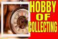 Collecting Hobbies | Collecting