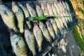 SUMMER CRAPPIE FISHING TIPS TO HELP