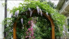 12 Vertical Gardening Ideas using Flowering Vines and Climbers