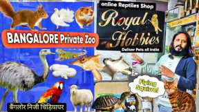 Royal Hobbies Petshop ,Squirrel, Cat, Ostrich, Iguanas, Python,Hamsters, Rabbits,Birds,Turtles (New)