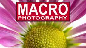 MACRO PHOTOGRAPHY FOR BEGINNERS ON A BUDGET - How to take amazing close up macro photos.