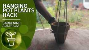 Make your own plant pot hanger with just one cord | Gardening hacks | Gardening Australia