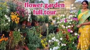 flower gardening at home | gardening ideas for home in telugu | flower plants at home garden