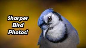 HERE’S WHY YOUR BIRD PICS AREN’T SHARP.