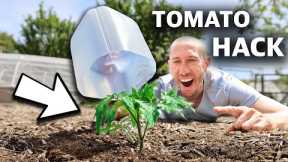 10 FREE Garden HACKS Using Household Items, You Can't Afford to Miss This!