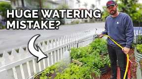 5 Watering Mistakes You're Probably Making