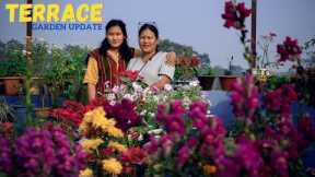 Terrace Garden in Nepal and Terrace Garden Ideas for Home I Nepali Gardening Tips