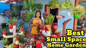 Small Space Home Garden Tour | Gardening Ideas Using Bottles | DIY Garden | Hanging Plants