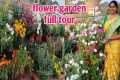 flower gardening at home | gardening