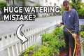 5 Watering Mistakes You're Probably