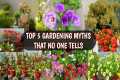 TOP 5 GARDENING MYTHS......BUSTED ! | 