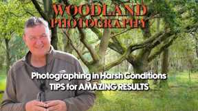 Woodland Photography Tips. Poor light, NO PROBLEM!