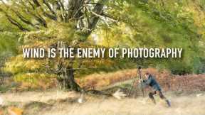 Is Wind The Enemy of Landscape Photography?