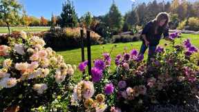 Cutting Flowers for a Wedding, Planting Trees & Harvesting Pumpkins! 🌸🌳🎃 // Garden Answer