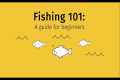 Fishing 101: A guide for beginners