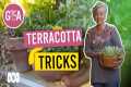 Easy Terracotta Pot Tips and Tricks | 