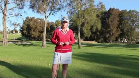 #83 Web TV: What's The Perfect Swing?