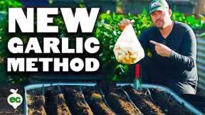 My NEW Favorite Way To Plant Garlic 🧄
