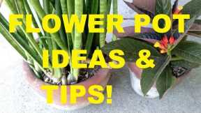 HOW TO CHOOSE THE BEST FLOWER POT | CONTAINER GARDENING TIPS!