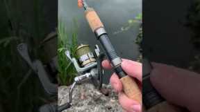 I Found the BEST Beginner Trout Fishing Setup #shorts #fishing #troutfishing #trout #fish