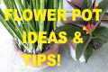 HOW TO CHOOSE THE BEST FLOWER POT |